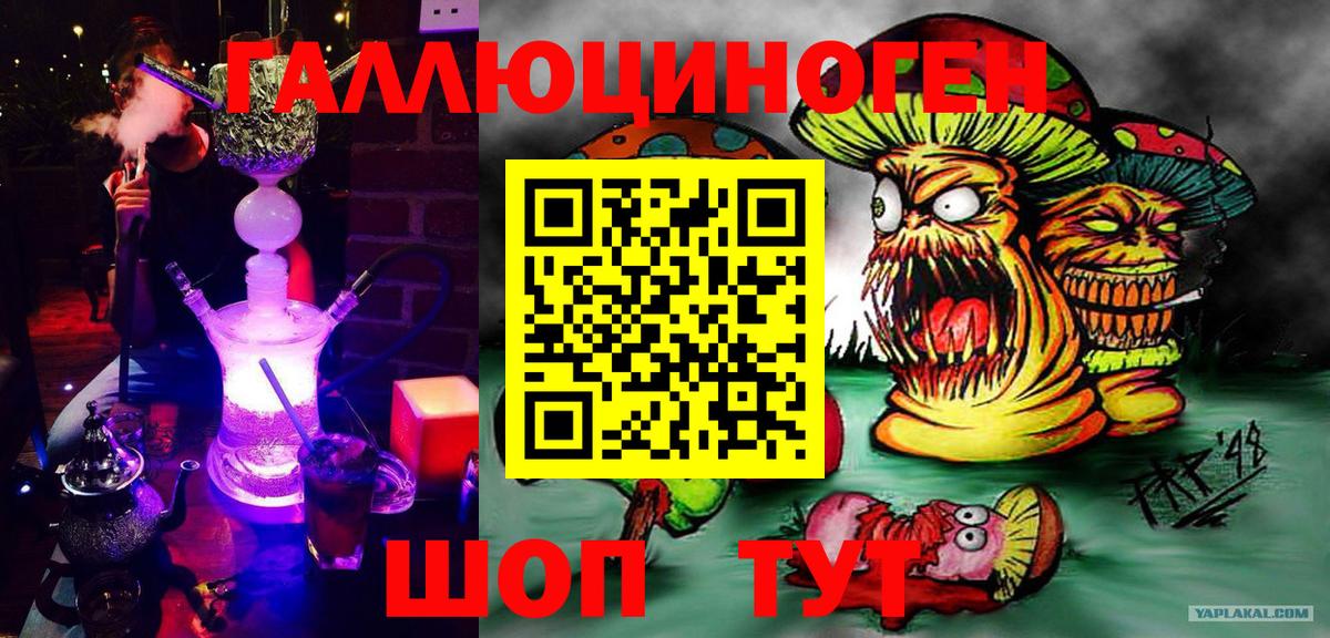 Галлюциногенные грибы Cubensis Гуково