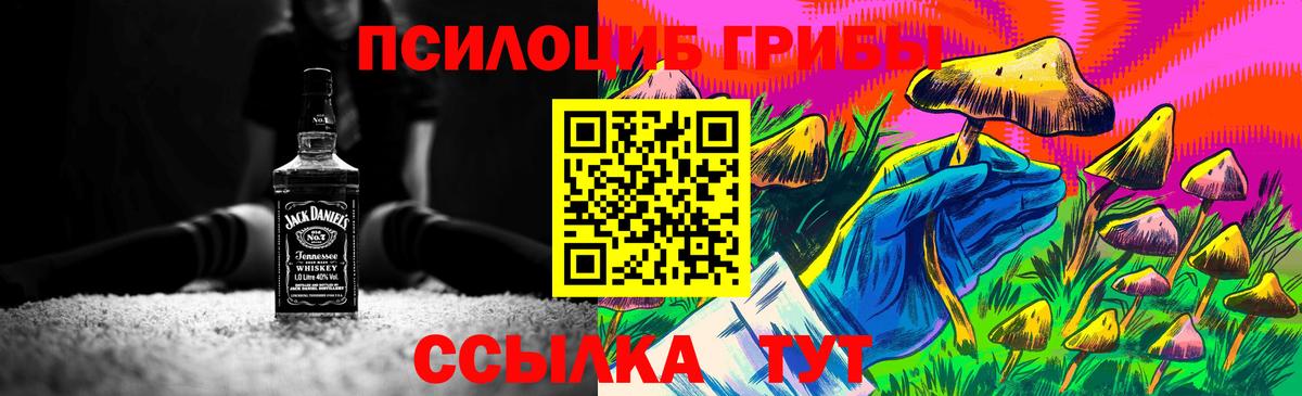 Псилоцибиновые грибы мицелий  Псилоцибиновые грибы Magic Shrooms  Вход с VPN  Гуково 